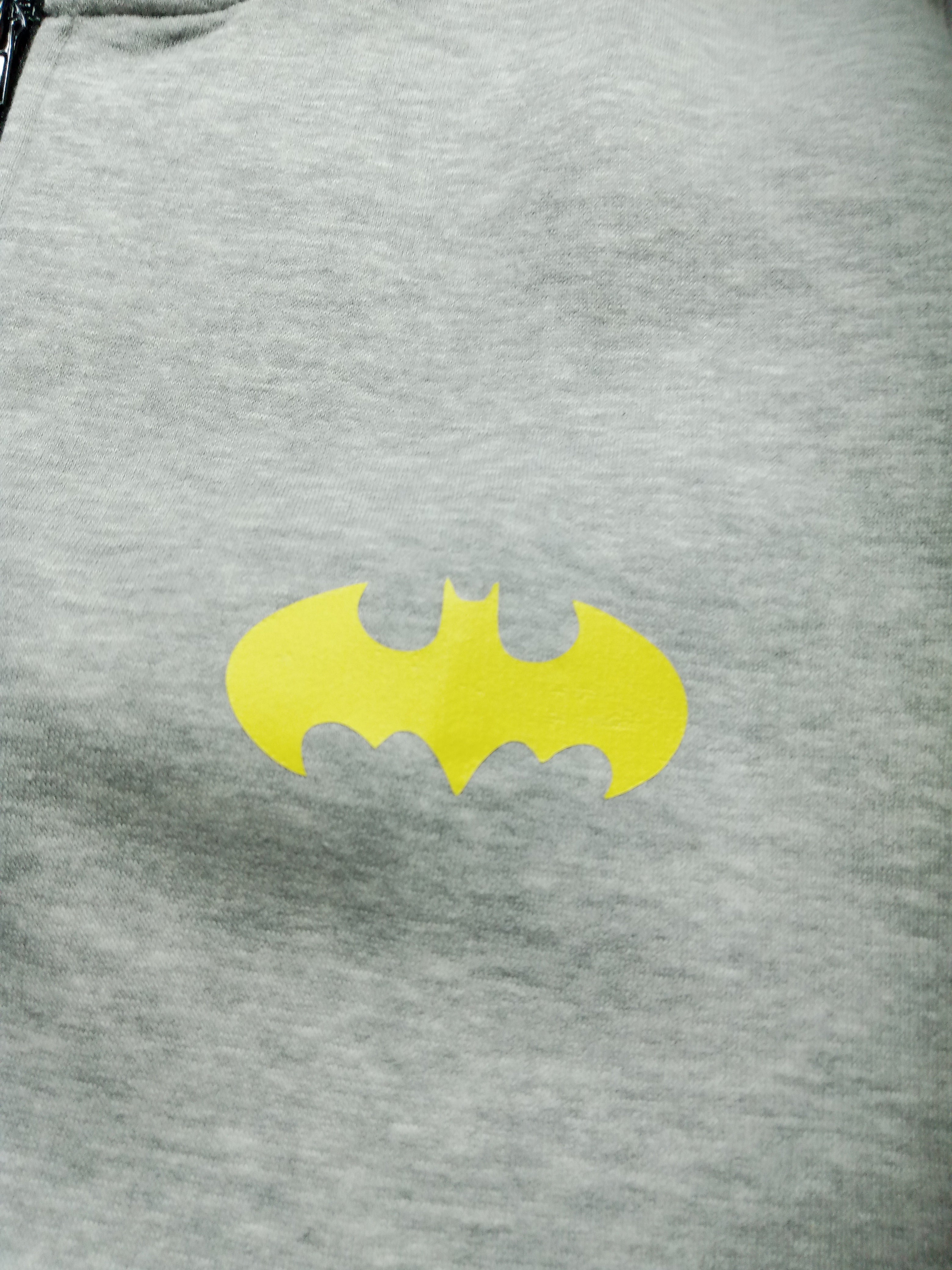 The Bat Logo Grey Hoddie Zipper